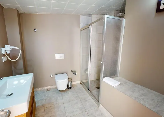 The Wolf 伊斯坦布尔