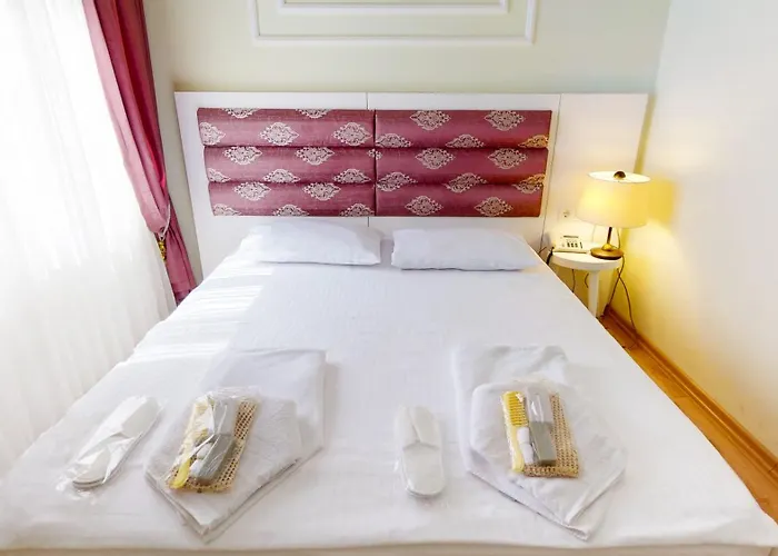 The Wolf 伊斯坦布尔