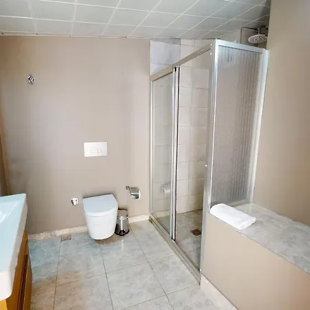 The Wolf Provincia di Istanbul